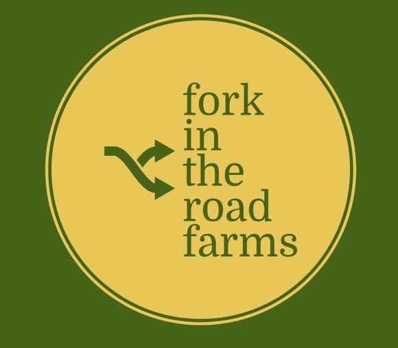 Fork and Academy in the Road